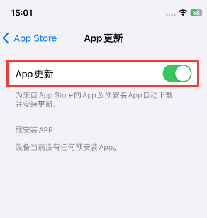 临武苹果15维修中心如何让iPhone15APP自动更新